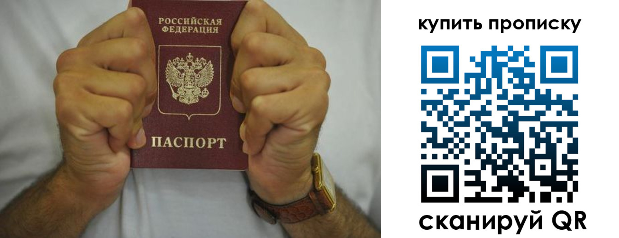 регистрация для школы в Дмитрове